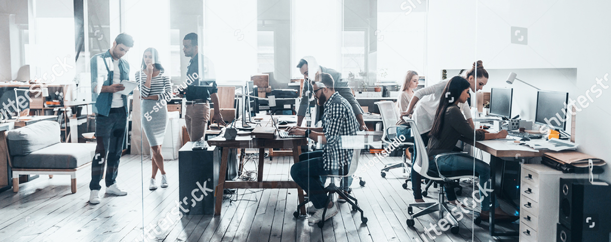 Vivica Fox Hair Collection AMEKOR INTRODUCTION